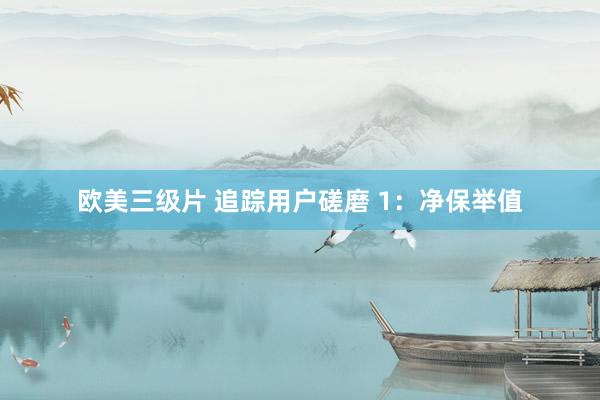 欧美三级片 追踪用户磋磨 1：净保举值