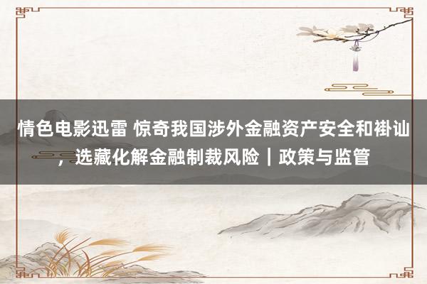 情色电影迅雷 惊奇我国涉外金融资产安全和褂讪，选藏化解金融制裁风险｜政策与监管