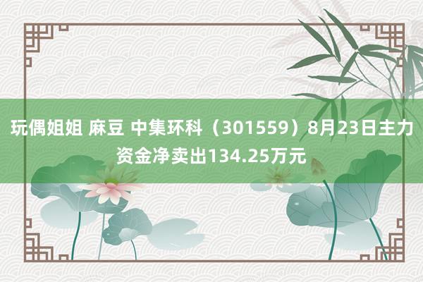 玩偶姐姐 麻豆 中集环科（301559）8月23日主力资金净卖出134.25万元