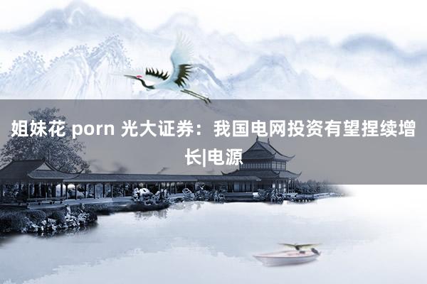姐妹花 porn 光大证券:我国电网投资有望捏续增长|电源