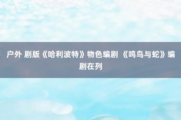 户外 剧版《哈利波特》物色编剧 《鸣鸟与蛇》编剧在列