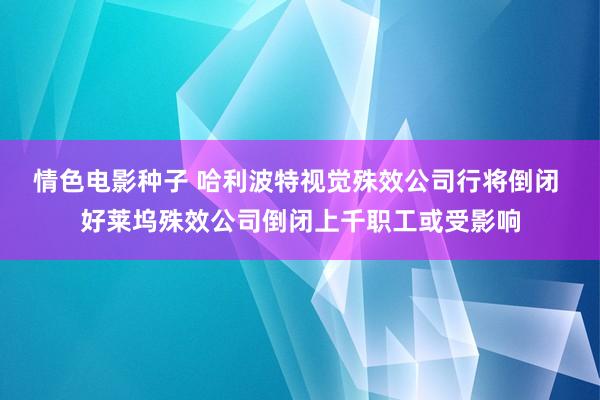 情色电影种子 哈利波特视觉殊效公司行将倒闭 好莱坞殊效公司倒闭上千职工或受影响