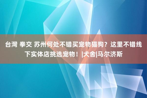 台灣 拳交 苏州何处不错买宠物猫狗？这里不错线下实体店挑选宠物！|犬舍|马尔济斯