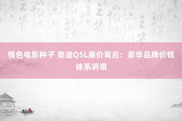 情色电影种子 奥迪Q5L廉价背后：豪华品牌价钱体系坍塌
