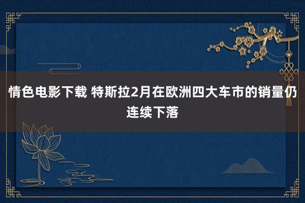情色电影下载 特斯拉2月在欧洲四大车市的销量仍连续下落