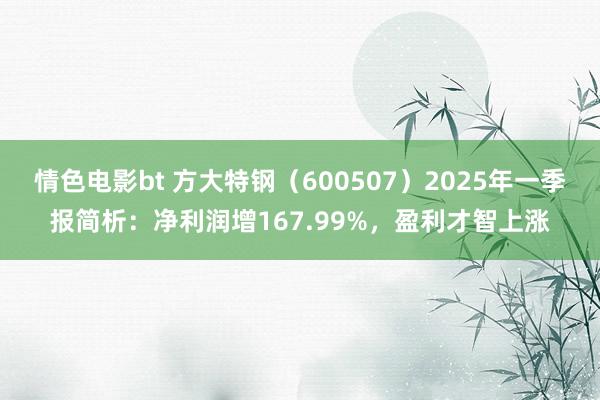 情色电影bt 方大特钢（600507）2025年一季报简析：净利润增167.99%，盈利才智上涨