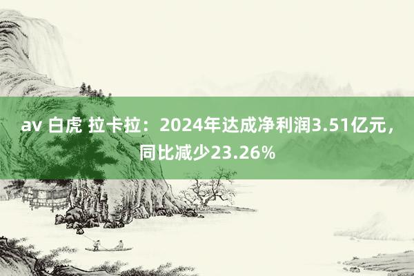 av 白虎 拉卡拉：2024年达成净利润3.51亿元，同比减少23.26%