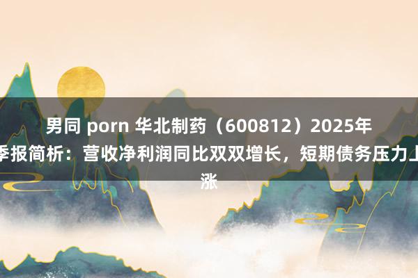 男同 porn 华北制药（600812）2025年一季报简析：营收净利润同比双双增长，短期债务压力上涨