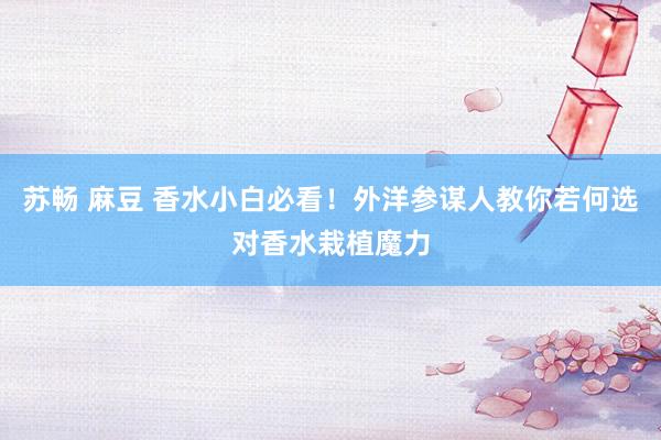 苏畅 麻豆 香水小白必看！外洋参谋人教你若何选对香水栽植魔力
