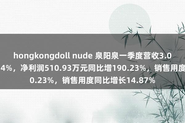 hongkongdoll nude 泉阳泉一季度营收3.07亿元同比增31.74%，净利润510.93万元同比增190.23%，销售用度同比增长14.87%