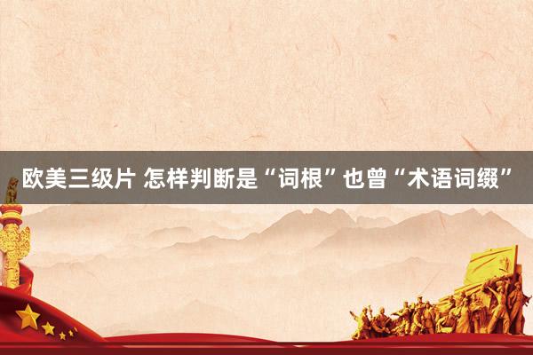 欧美三级片 怎样判断是“词根”也曾“术语词缀”