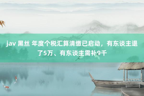 jav 黑丝 年度个税汇算清缴已启动，有东谈主退了5万、有东谈主需补9千